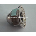 Stainless Steel Hex Flange Cap Nuts With Serrated, hex domed cap nut with flange , flange hex domed cap nuts with serrated